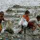 Children rummage through the debris that was washed ashore by.... photo: 1633491 slideshow 31095