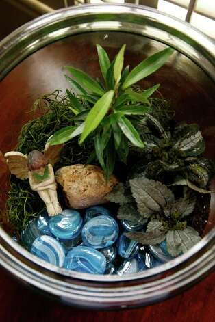 Above, a terrarium sets a magical scene. Left, a small palm is in the spotlight beneath a tall cloche. At top, a polka-dot plant, small fern and reindeer moss cozy up in a Wardian case. Photo: John Everett / John Everett