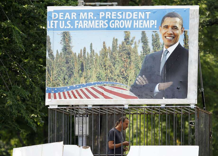 David Bronner, CEO of Dr. Bronner's Magic soaps, stands in a cage holding hemp during a hemp protest, Monday, June 11, 2012, in Washington. (AP Photo/Haraz N. Ghanbari) Photo: Haraz N. Ghanbari, Associated Press