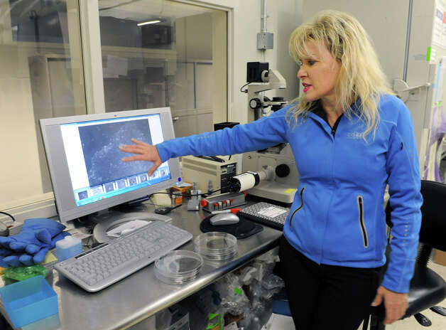 Janet Paluh, associate professor of nanobioscience, points to cells on her computer screen in a lab at the College for Nanoscale Science on Thursday Dec. 20, 2012 in Albany, N.Y.  (Lori Van Buren / Times Union) Photo: Lori Van Buren