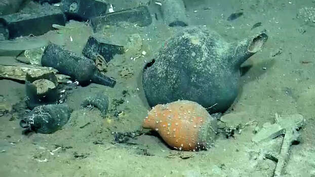 Items and sea life found in a Gulf shipwreck being explored by Texas A&M University at Galveston research scientists and National Oceanic and Atmospheric Administration experts.