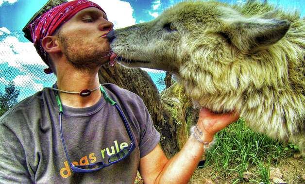 Thomas Davis is licked by a wolf. (Courtesy of Thomas Davis)