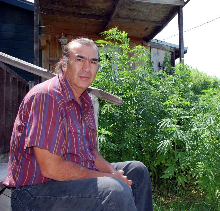 Alex White Plume at home in Manderson, S.D., with hemp plants that grew from DEA-raid seeds.sits on the back steps of his house near Manderson, S.D., on Tuesday, June 26, 2007, near some hemp plants that grew from seeds knocked off plants confiscated by federal drug agents. White Plume sought to grow hemp, a cousin of marijuana with only a trace of marijuana's drug, on his ranch on the Pine Ridge Indian Reservation. (AP Photo/Chet Brokaw) Photo: CHET BROKAW / ASSOCIATED PRESS / ONLINE_YES