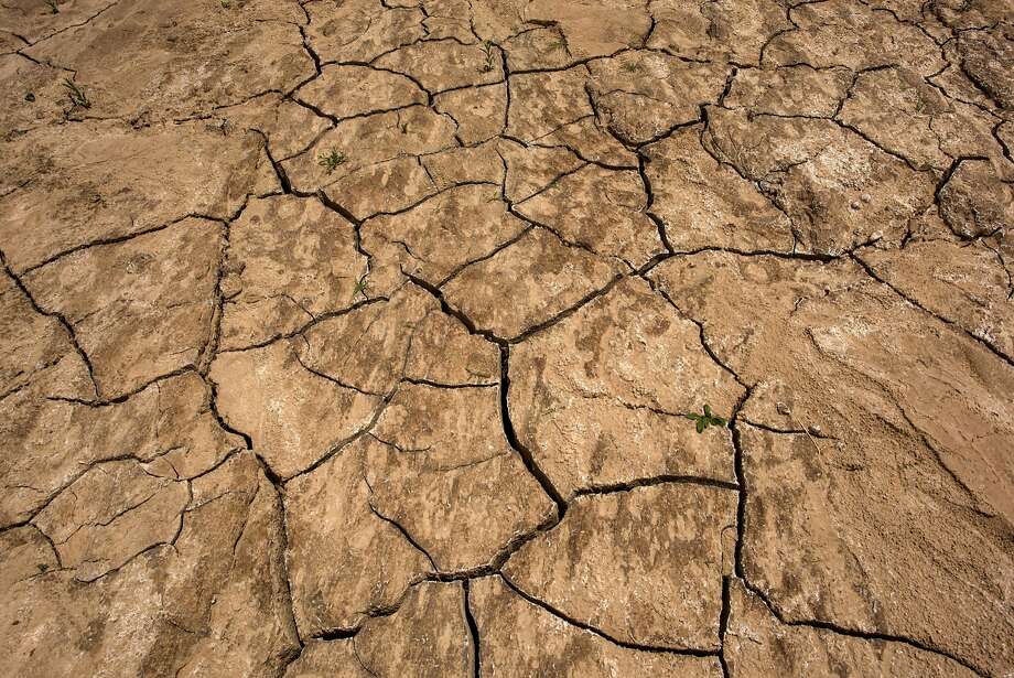 A North Bay congressman is turning to the public for ideas on how to deal with the drought in Congress. Photo: David Paul Morris, Bloomberg