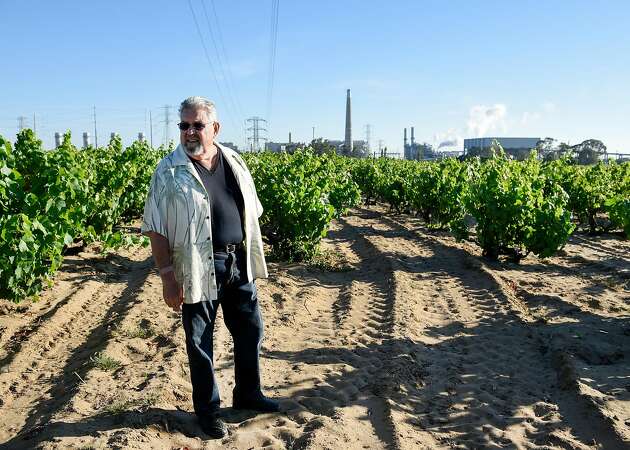 Bedrock Wine Co. takes over old-vine Evangelho Vineyard