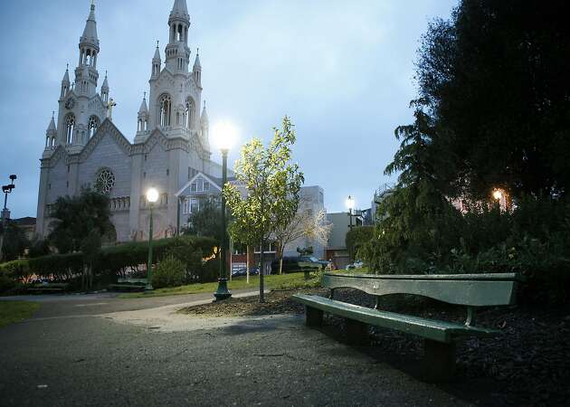 Donations sought for woman hit by 100-pound tree limb in SF park