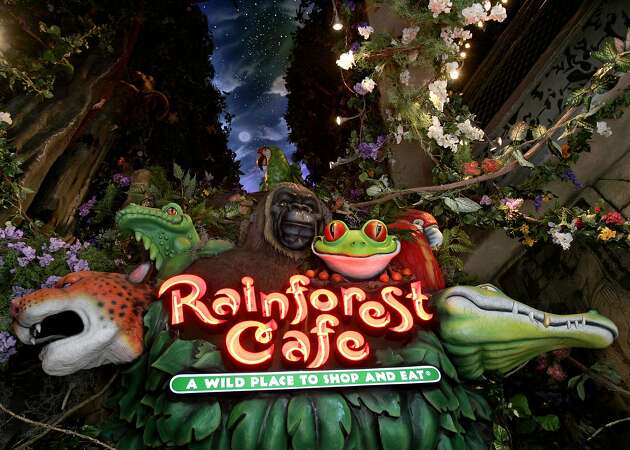 Rainforest Cafe shuts down in San Francisco