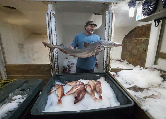 Seafood sales finally under way at Fisherman's Wharf